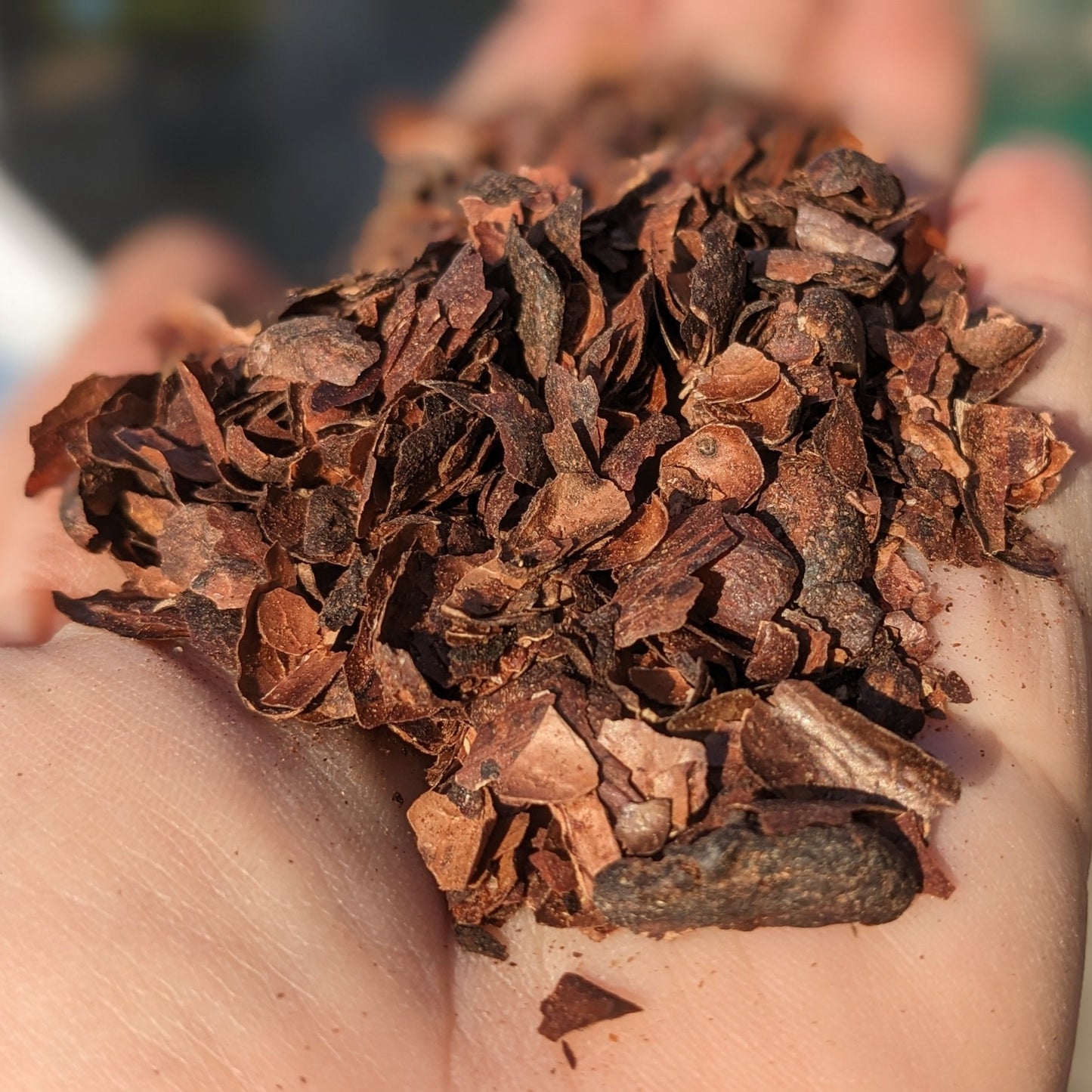 Cocoa Shell Mulch