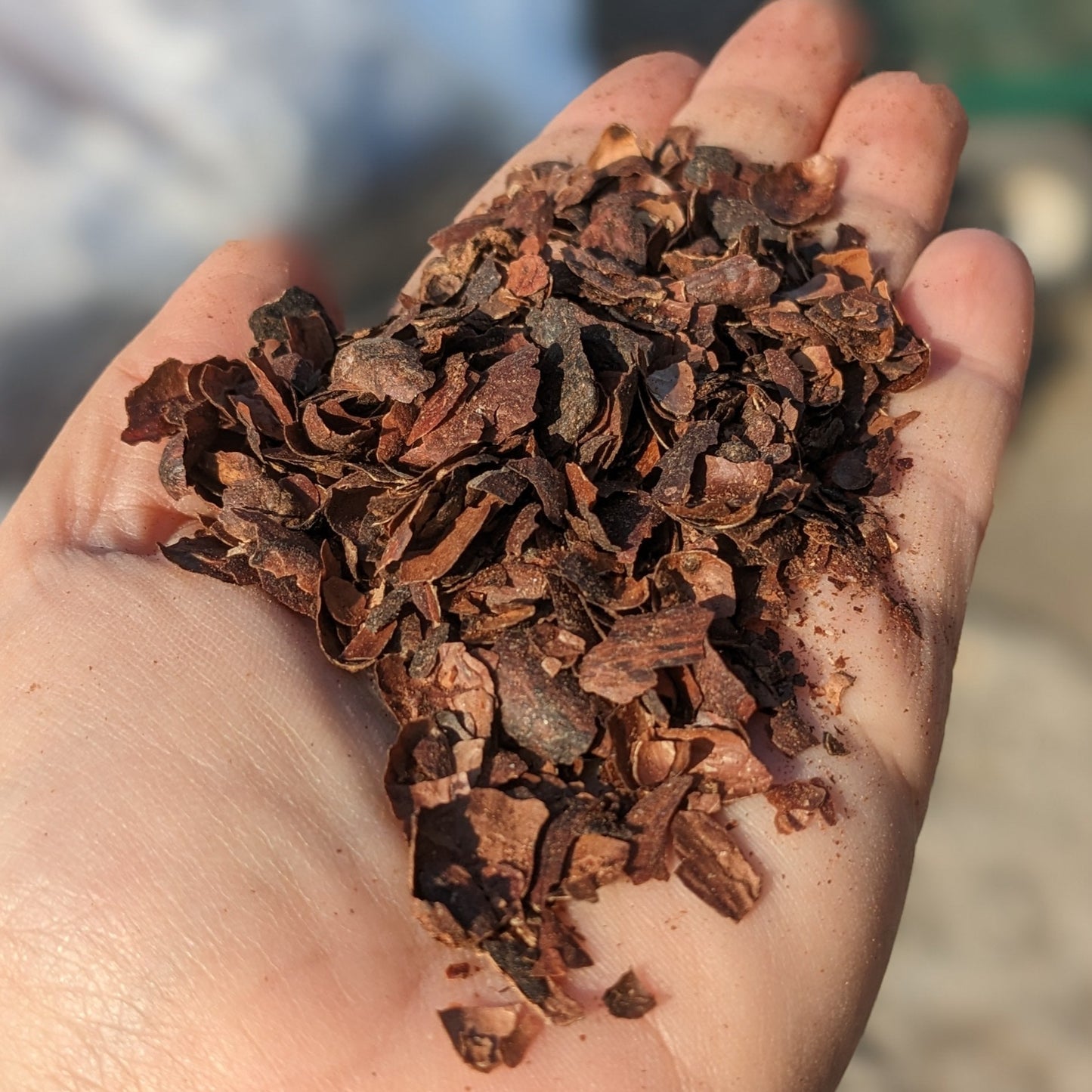 Cocoa Shell Mulch