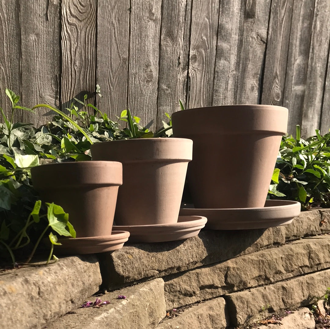 Deroma Etich Pot