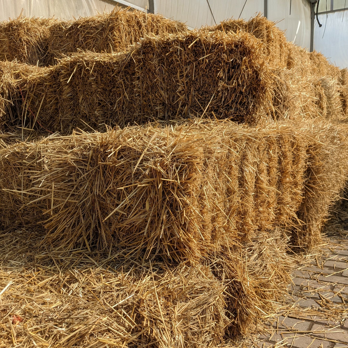 Straw